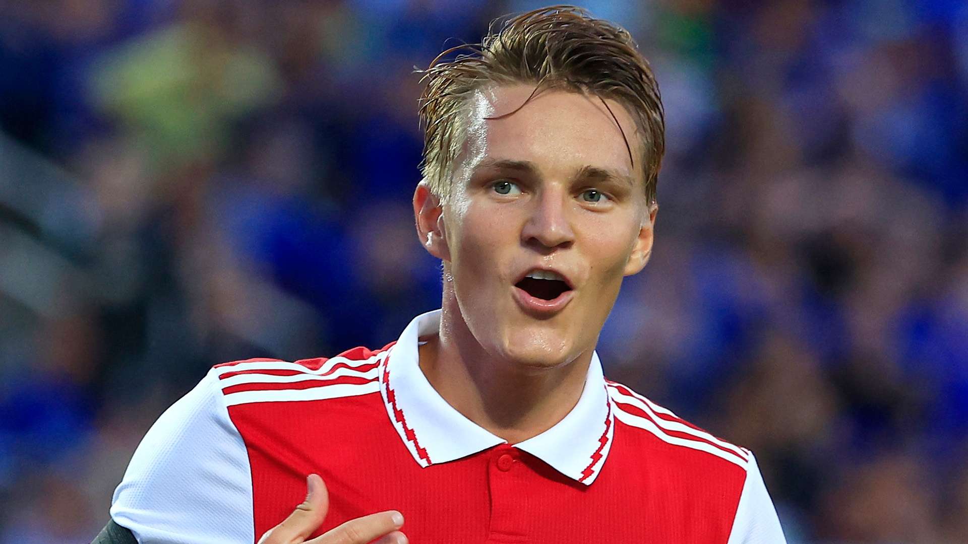 和理念的碰 和理念的碰